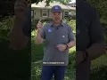 Severe Weather In Bonham Texas - The Weather Channel Reports