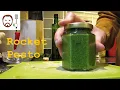 Download Lagu Rocket Pesto Recipe | A peppery alternative to basil