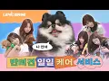 Download Lagu [LENIVERSE] 강아지 펫시터 : 반려견 일일 케어 서비스 l EP.59