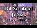 Download Lagu Dil Sambhal Ja Zara (Slowed+Reverb) Phir Mohabbat Arijit Singh | Mohammad Irfan ‎@aestheticslowed3967