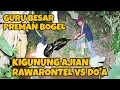 Lagu Dang Rajo murka datangi langsung ki gunung guru besar preman bogel | dang rajo terbaru