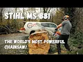 STIHL MS 881 vs MS 880 The Worlds Most Powerful Chainsaws