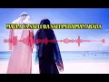 Maula Ya Salli Wa Sallim Daiman Abada - DJ Tiktok Viral Remix Version