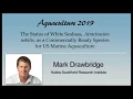 Mark Drawbridge White Seabass Atractoscion nobilis Aquaculture