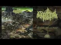CEREBRAL ROT - Putrefaction (Eternal Decay) (From 'Odious Descent Into Decay' LP, 2019)
