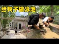 Download Lagu 听粉丝建议给小鸭子做个游泳池，和老公顶着三十多度的太阳忙活几个小时，也不知道做的成功与否