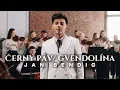 Download Lagu Jan Bendig - ČERNÝ PÁV \u0026 GVENDOLÍNA