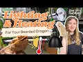 The Ultimate Bearded Dragon Lighting Heating Guide