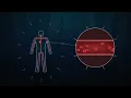 Why No One Talks About The Second Deepest Trench