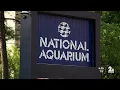 National Aquarium offering free tickets