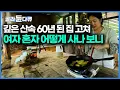 Download Lagu 해발 700m 넘는 산골, 허름한 시골집을 가꾸며 살아가는 여자｜강원도 평창 자연인｜한국기행｜#골라듄다큐