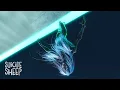 Download Lagu Polygon - Midnight