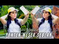 Download Lagu PUTRI WAGISTA-PUNTEN MESER SEBLAK(OFFICIAL MUSIC VIDEO)