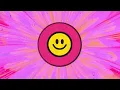 SIDEPIECE & Disco Lines - Give It To Me Good [Visualizer]