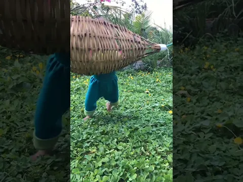 Baby Monkey Finds a Giant Basket! 🍌🐒😂 | Funniest Monkey Adventure