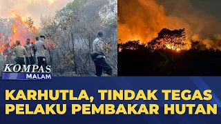 Darurat Karhutla, Tindak Tegas Pelaku Pembakar Hutan | KOMPAS MALAM