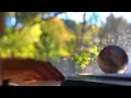 ハルジオン / YOASOBI (ピアノ)