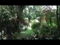 Topeng Jauk Balinese suling Bamboo flute \u0026 #fav place Paradise: Villa Melati Bali