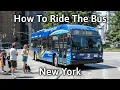 How to Ride the Bus in New York City What to do and Not do