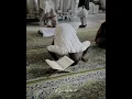 Download Lagu baadgheyabo #arabic #love #unfrezzmyaccount #music #song #nasheed #masukberanda #aesthetic #answer