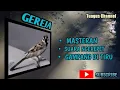 Download Lagu masteran burung gereja tarung || cocok untuk masteran burung lomba || mudah ditiru burung lain.