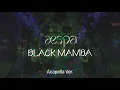 Download Lagu [Clean Acapella] aespa - Black Mamba