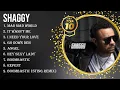 Download Lagu Greatest Hits Shaggy full album 2024 ~ Top Artists To Listen 2024