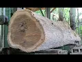 Download Lagu Worth 33 million! Teak wood from residents in the process of making joglo blocks to order