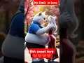 Download Lagu sweet Love/ no limit/ #cat #story #funny #ias #cutecat