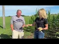 Pro Farmer Crop Tour 2026 Day 3 Coverage