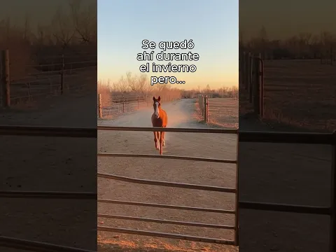 Le Cambió La Vida❤️ #animal #animales #naturaleza