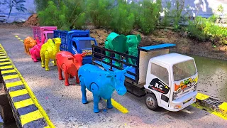 Amazing‼️ Mobil Truk Angkut Sapi Kotor Lucu - Simulasi Penyelamatan Hewan #30