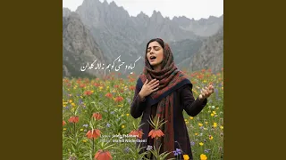 گیاه وحشی کوهم نه لاله  گلدان دندنها