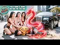 Download Lagu Kurir Miskin Rela Mati Selamatkan CEO Wanita, Aktifkan Sistem Dewa Perang Terkuat Negeri Naga!