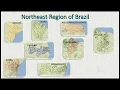 Choropleth Maps Northeast of Brazil Data Science Jupyter Notebook