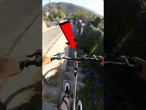Freio Impossível! 🚴💥 #Catsoftiktok #CatLovers #cat #cute #FunnyCats #catcartoon #fyp