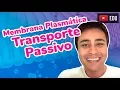Channel
