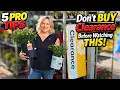 Shop Garden Center Clearance Like a Pro 5 Tips for Success