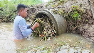 From Fully Clogged to Clear – Culvert Drain Restoration