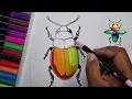 Coloring a Beautiful Beetle Relaxing Insect Coloring for Kids Adults