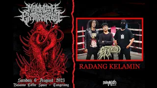 Download RADANG KELAMIN LIVE at MAMMOTH EXTREME FEST 6 AUGUST 2023 [FULL VIDEO] MP3