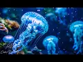 Download Lagu Jellyfish Aquarium • Healing of Insomnia, Stress, Anxiety and Depression • MELATONIN RELEASE #28