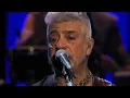 Lulu Santos - Como uma Onda (Ao Vivo)