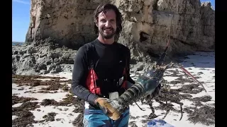 Radioactive Lobster – Free Range Sailing Ep 4