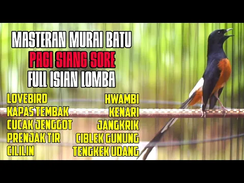 Download MP3 MASTERAN LOMBA MURAI BATU FULL ISIAN MEWAH AMPUH BIKIN MURAI BATU ANDA LANGSUNG BONGKAR MATERI