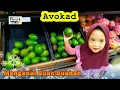 Download Lagu Pepaya mangga pisang jambu | Lagu anak anak | Mengenal Buah Buahan | Anak anak
