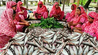 Vegetable Mix Pabda Fish Curry Recipe | ৪০ কেজি সবজি ও ৩০ কেজি পাবদা মাছের  চর্চড়ি রান্না