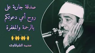 الشيخ أحمد الرزيقي البقرة جنوب أفريقيا 1981 م لأول مرة 