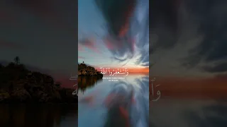 أستغفر الله العظيم وأتوب إليه القارئ شريف مصطفى  أستغفر الله العظيم وأتوب إليه القارئ شريف مصطفى