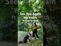 Download Lagu Wiz Khalifa「See You Again」ft.Charlie Puth cover